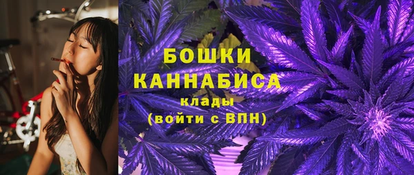 PSILOCYBIN Алексин
