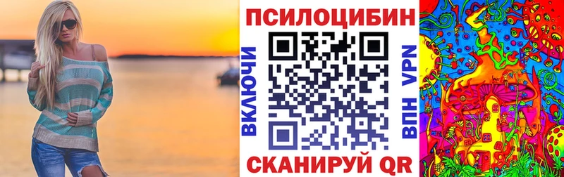 где купить наркоту  Киселёвск  блэк спрут зеркало  Псилоцибиновые грибы прущие грибы 